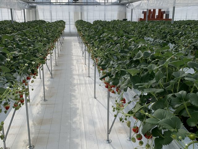 �{�ݓ����Y��_�i�`��������