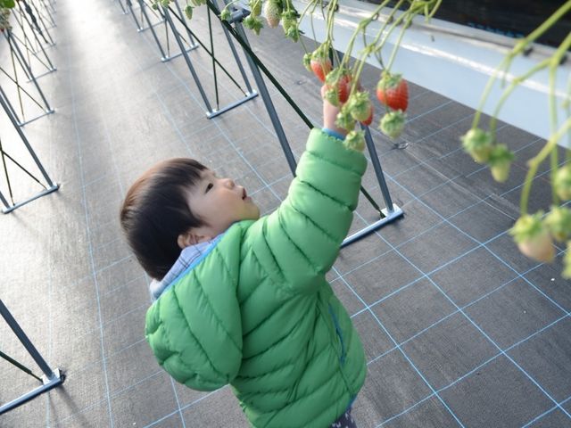 2�Ύ����o�b�`��GET!���܂�ɂ��L���C�ɊǗ����ꂽ�n�E�X���Ɏq�ǂ��B�͑�͂��Ⴌ�B�喞���ł��B_�Ƃ悳��t�@�[����������