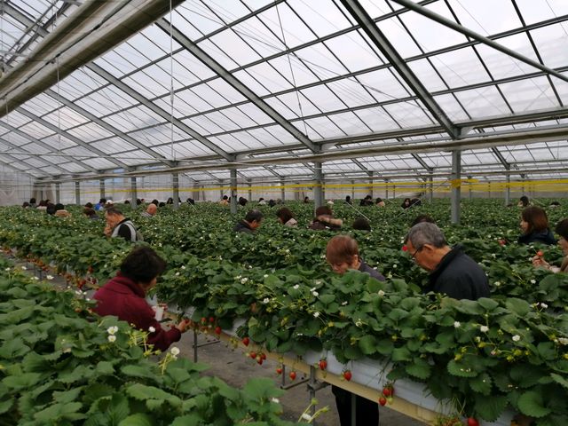 ��悢�P_䕉����߃n�E�X