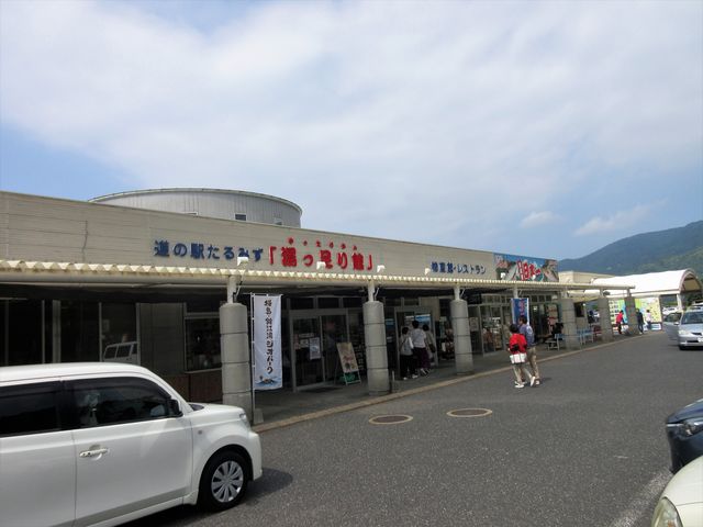 2019N616Bej̉wE݂uفv_̉w݂