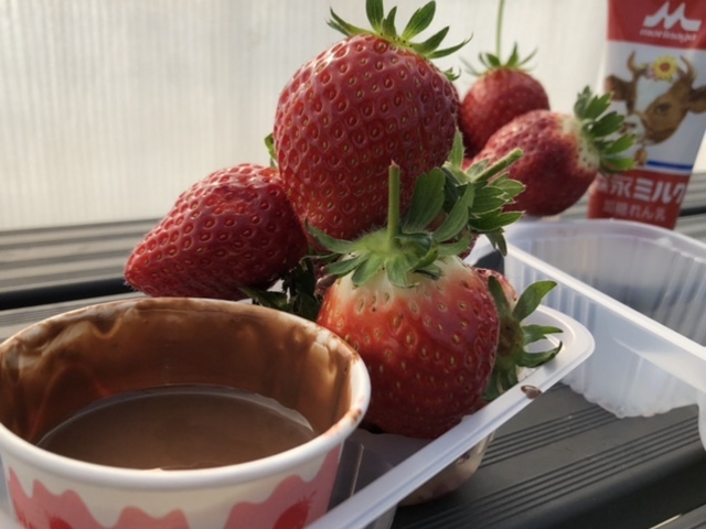 �`���R�́A�ʗ����ł�_���������̋��@���V�������_��