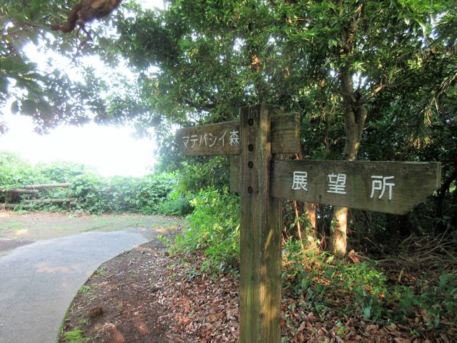 2019�N6��16���������B�e�j�u�_�O�����V�����v�}�e�o�V�C�̐X�E�W�]���֓��W_�_�O�����V����