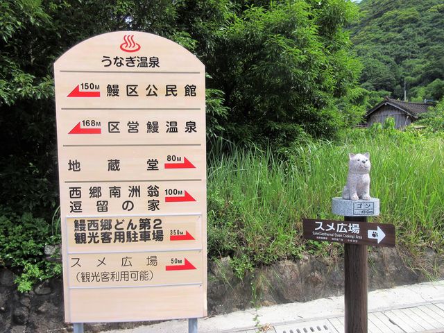 2019�N6��16���������B�e�j�u�V����v���W_�V����