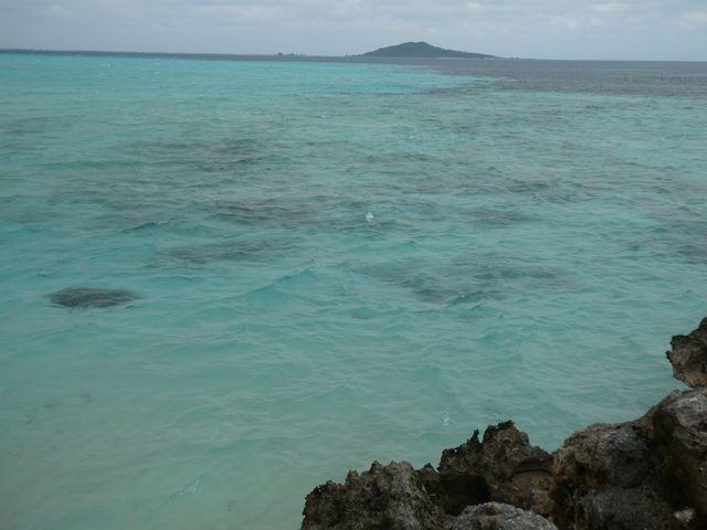 �C�̌������ɑ�_���������܂���_�r�ԓ�