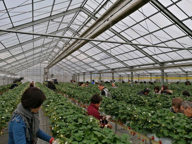 ���H�ׂ��邩�ȁH_䕉����߃n�E�X