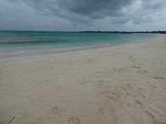 �^�b�N����̈ɗǕ����E���n���ւ̓��e�ʐ^6