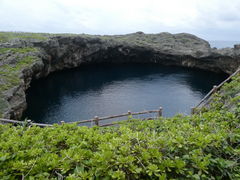 �^�b�N����̈ɗǕ����E���n���ւ̓��e�ʐ^8