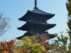 東寺（教王護国寺）の写真一覧 - じゃらんnet