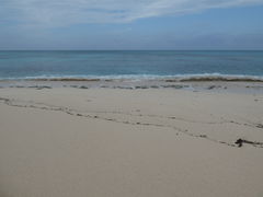 �^�b�N����̗��ԓ��ւ̓��e�ʐ^1