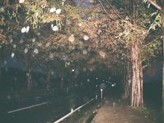 񂳂̃^ZRCA؂ւ̓eʐ^1