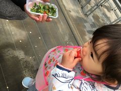 �X�g���x���[���B���b�W���������̎ʐ^1