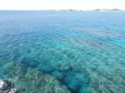 Toy����̐���������̓��e�ʐ^1