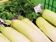 Ƃ񂳂̓̉w N[c̓eʐ^2