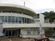 񂳂̓̉wtFjbNXEXgx؂̓eʐ^2