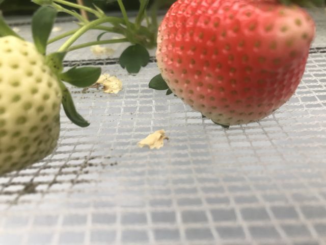 �Â����Q_�z�J�������{��_��