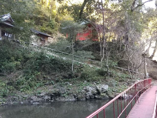 ���Q�肵�Ȃ���U��B_������̑�