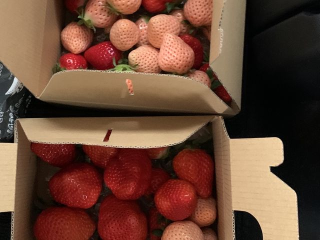 �X�O�O�~���|�C���g���g���A�Q�l�łS��ނ��Q�L����A�R�W�O�O�~�قǂłł��܂���_�_Life�������̑�