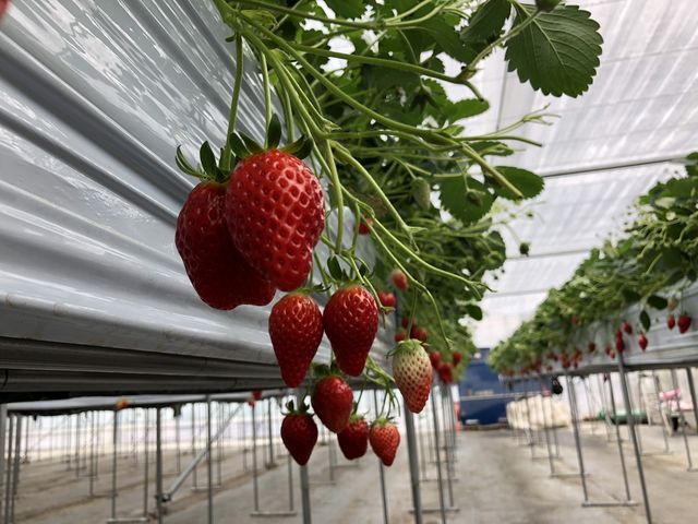 ���Ԗ������A��p�u�[�X�Ȃ̂ŁA��������_�������̉���