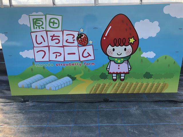 �Ŕ������ł��ˁI(#^.^#)
_���c�������t�@�[��