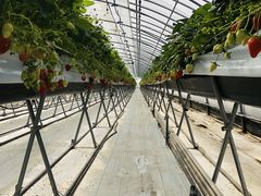 chokõx[Yt@ւ̓eʐ^1