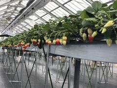 oyoyo����̂Ƃ悳��t�@�[�����������ւ̓��e�ʐ^1