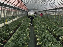 ���䂳��̍]�Ԃ��������Z���^�[�ւ̓��e�ʐ^1