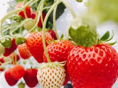 ~btB[̌ct@[ւ̓eʐ^1