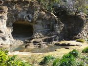 jR񂳂̐򎛒뉀̓eʐ^1