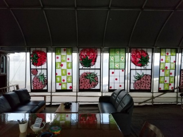 �X�e���h�O���X��_���͂�_��