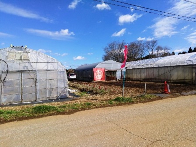 �s������1���Ԃ��炢�ł��B_���͂�_��