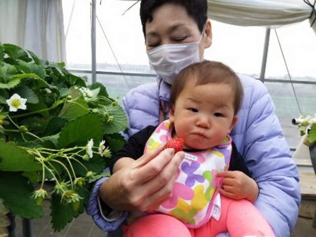 10�����ł�����R�H�ׂ܂���(�΁j_���͂�_��