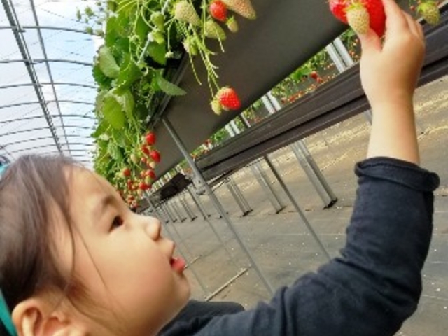 ���x�������ǂ��Ċ������I3�Ύ���500�~�ł��B_���͂�_��