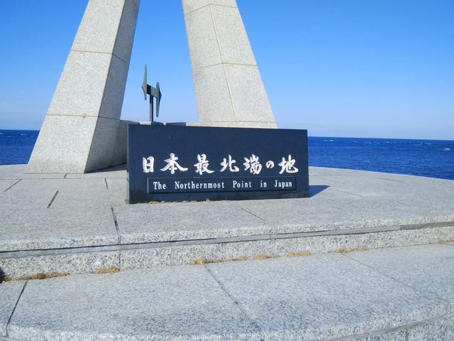 ���������h�ȃ��j�������g�ł��B_���{�Ŗk�[�̒n�̔�