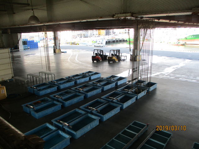 �׎J���{��_�C����s���s��