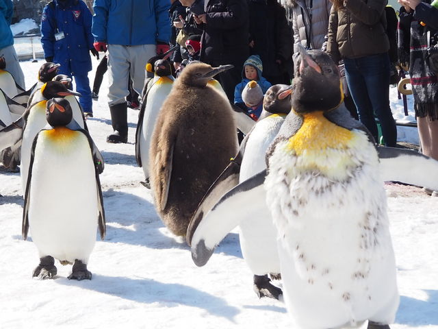 ������ۃX�^�[�g_���R������