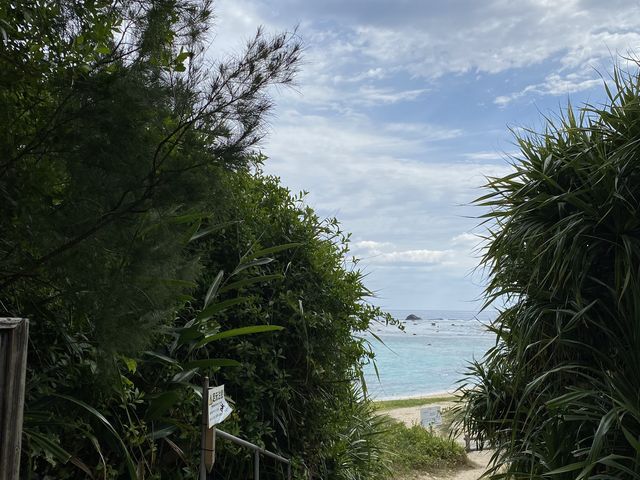 �y���C�ݓ���_�����l�C�`���[�K�C�h�E�V���m�[�P�����O�E�J�k�[�E�i�C�g�c�A�[