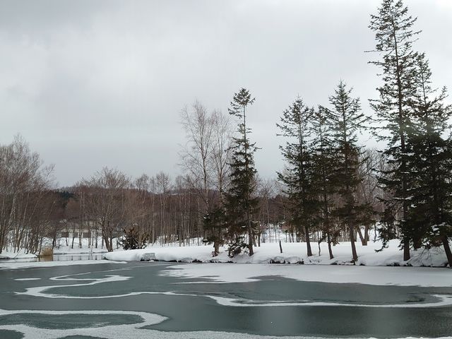 R͌ꂸ̒r͕XĂB__Ƃ̂΂ rR