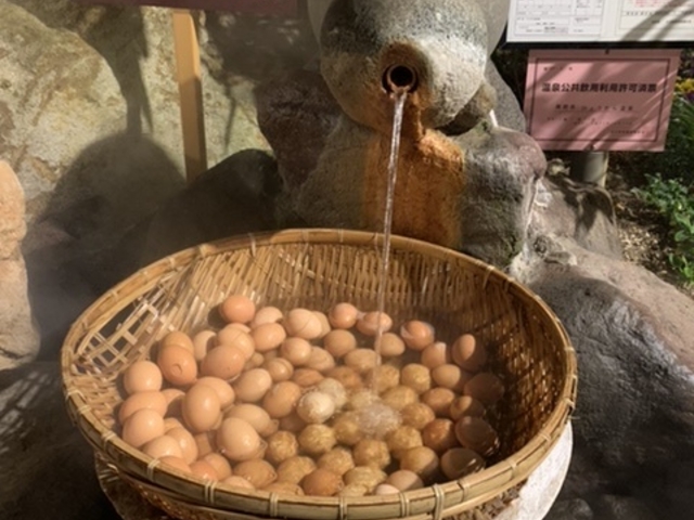 ����_�Ђ傤���񉷐�