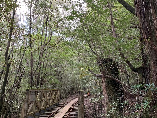 �ꕶ���R�[�X�V�C�Ɍb�܂�܂���_���v���R��