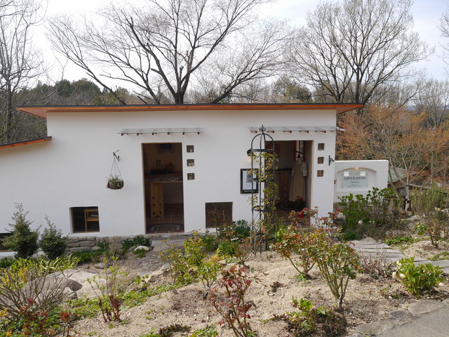 肿񂳂̃Ev@X̓eʐ^1