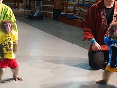 ���h���܂킵����̎ʐ^3