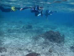 Ԃǂ̃TSƃhJւ̓eʐ^1