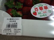 񂳂̓̉w 炬̓eʐ^1