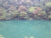 肿񂳂̗K㋬̓eʐ^1