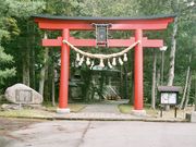 񂳂̍nm{xÐ_Ђ̓eʐ^1