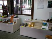 ����ς炳��̒����L�O�ق̓��e�ʐ^3