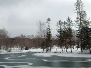 rNg邳̔_Ƃ̂΂ rR̓eʐ^5