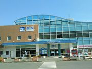 񂳂̖SCόDɗǌ΂̂΂̓eʐ^2