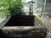 Ƃ-񂳂̋j[ˁiqG̕j̓eʐ^3