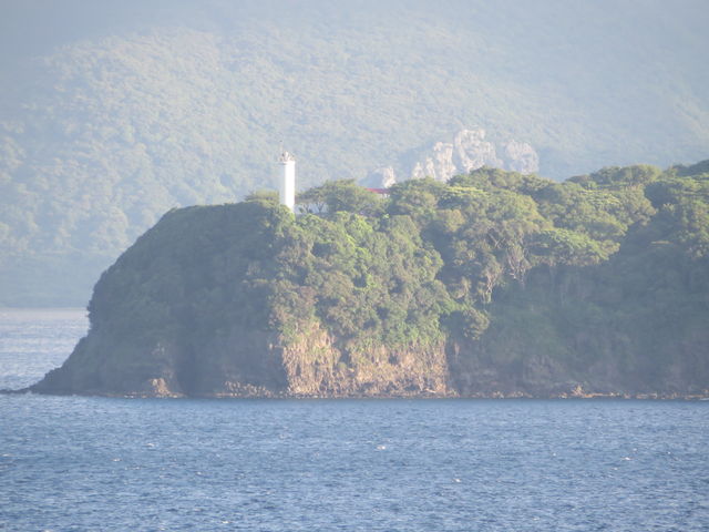 ����_�ؘH���铔��